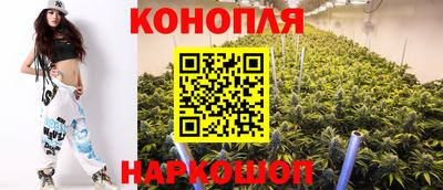 гидропоника Берёзовский