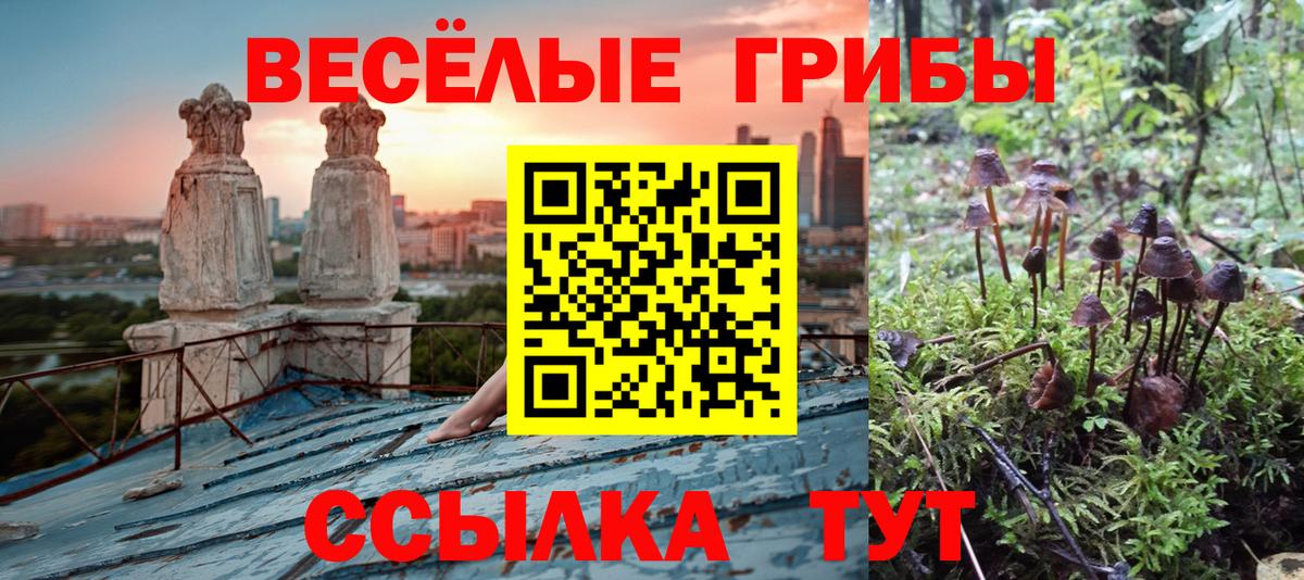 Псилоцибиновые грибы Cubensis  Донской  Галлюциногенные грибы MAGIC MUSHROOMS 