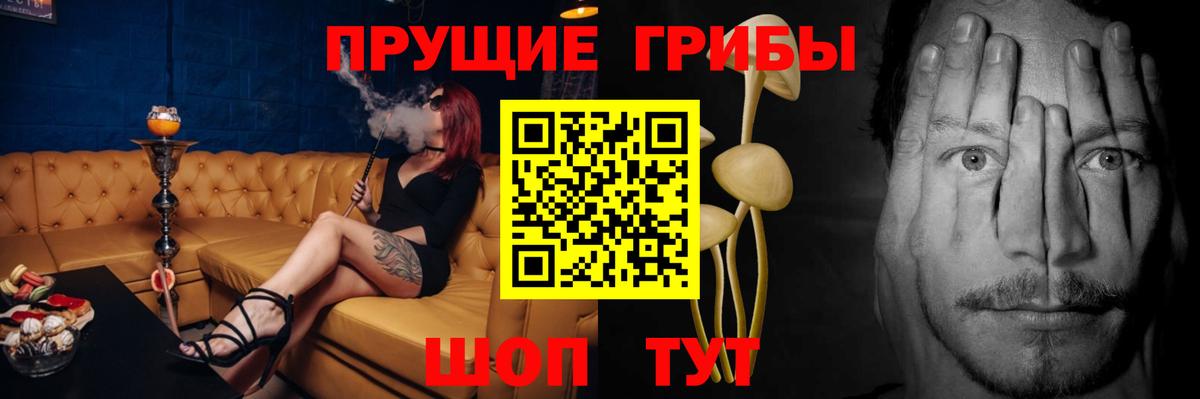 Псилоцибиновые грибы мицелий  Вход с VPN  Донской 