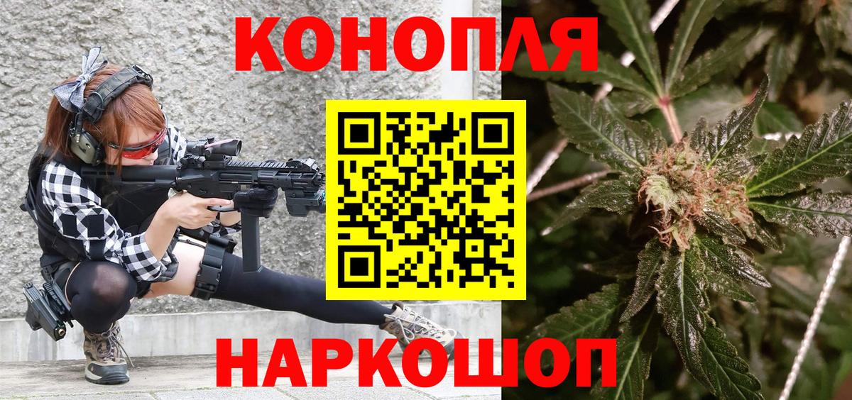 Конопля марихуана  Каннабис план  Донской  Конопля OG Kush 